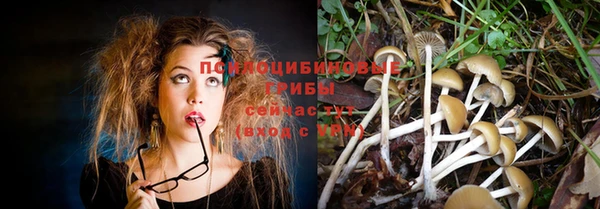 ешки Абинск
