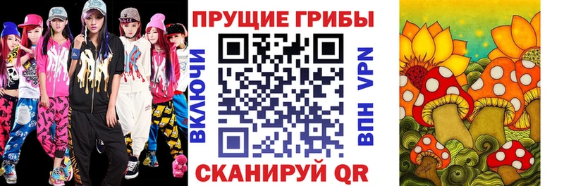 blacksprut ССЫЛКА  Юхнов  Псилоцибиновые грибы прущие грибы 