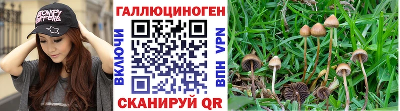 Галлюциногенные грибы прущие грибы Юхнов